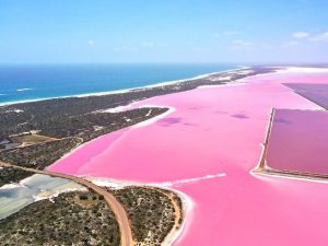 気候 って意外と重要 オーストラリアの気候を地域の特徴ごとに調べてみた 留学 ワーキングホリデーなら留学ドットコム