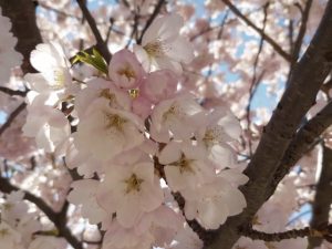 水谷 けいこ 留学 ワーキングホリデーなら留学ドットコム